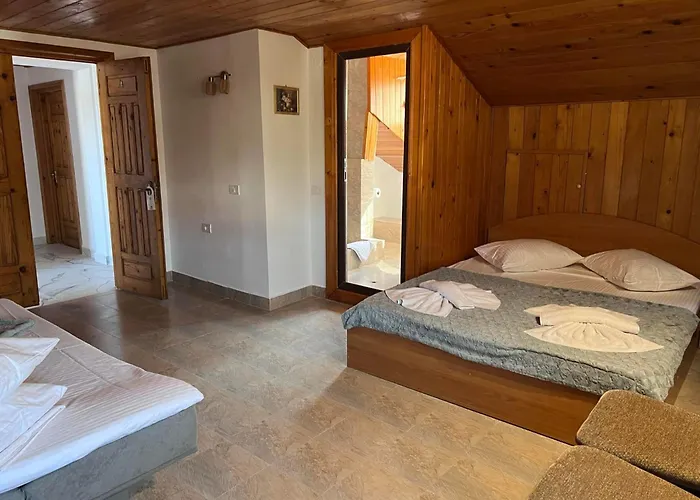 홈스테이 Amy Asterias