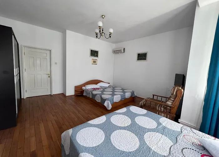 Amy Asterias 홈스테이 데포리노드