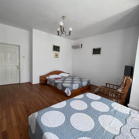 Amy Asterias Kwatera prywatna Eforie Nord